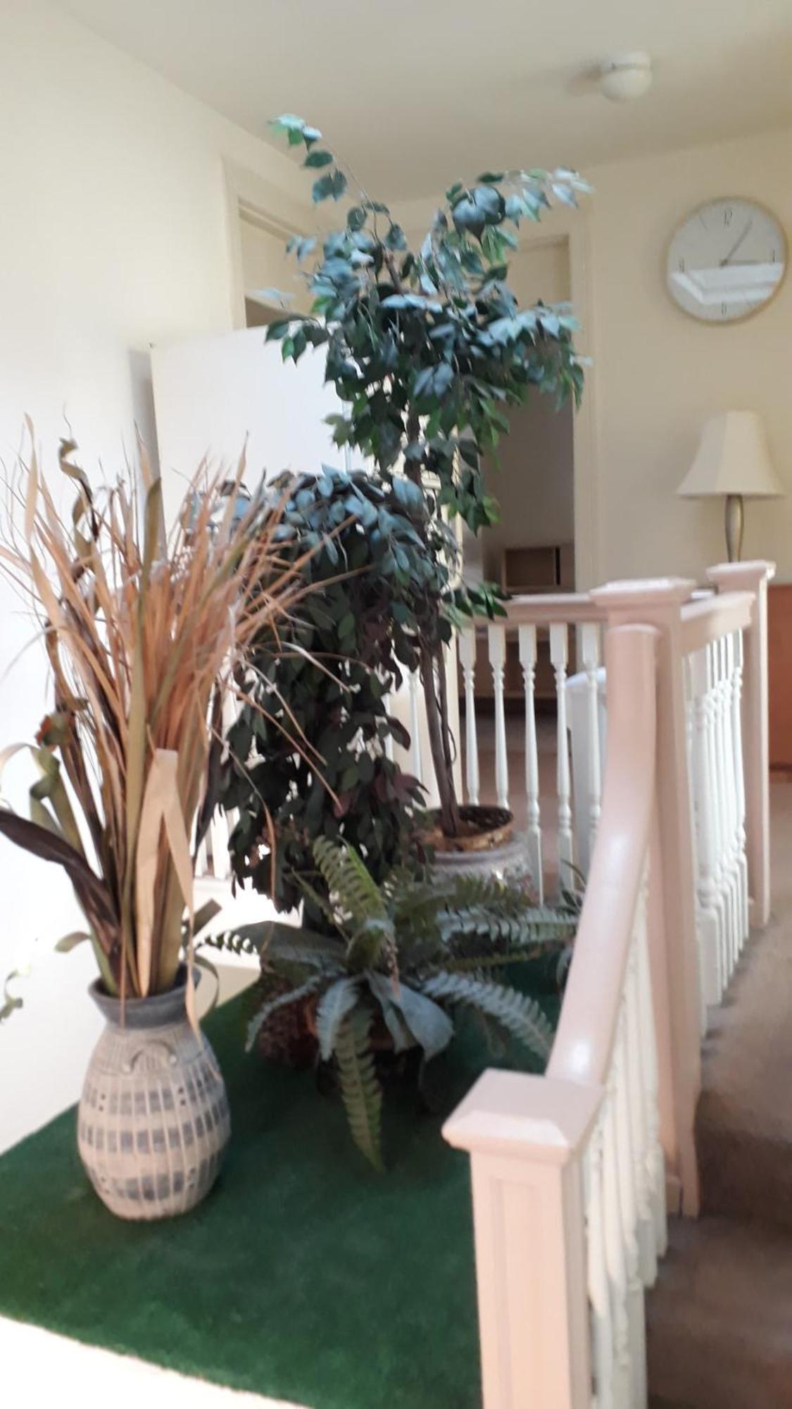 Pleasant Rooming House Ουάσινγκτον Εξωτερικό φωτογραφία
